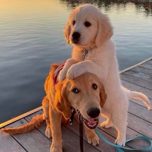 插女同学最经典的三个角色
